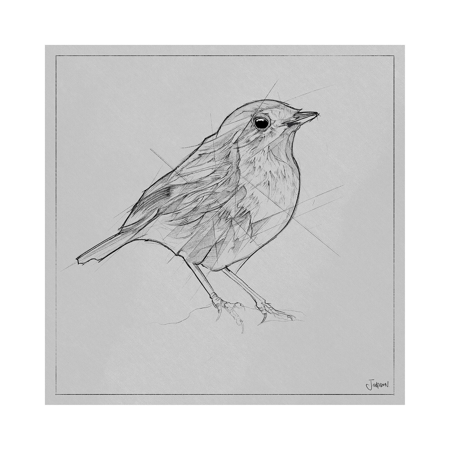 Drawing Of Robin Pen And Color Pencils On Paper Stock Illustration -  Download Image Now - Bird, Drawing - Art Product, Robin - iStock